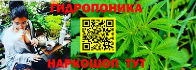 трава Аша