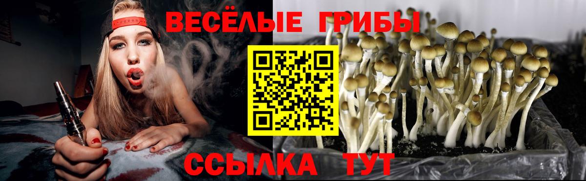 Псилоцибиновые грибы мицелий  Вход с VPN  Борзя 